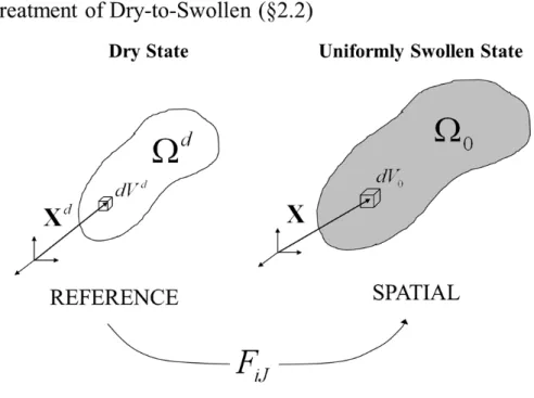 Figure 2.1: The kinematics of deformation in §2.2: A dry host network (occupying Ω d ) absorbs