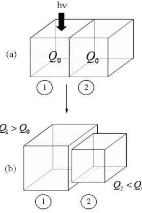Figure 4.1: Consider the case of an elastomeric photopolymer slab cut into two cells (a)