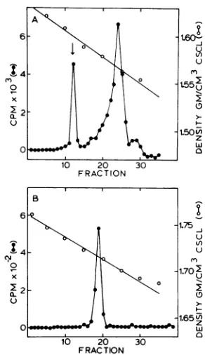 FIG. 5.500harvesteddayuntilconcentrationsI(0) cells. Effect ofACVon VCA expression in P3HR- Cells were treated for 7 days with ACV at of I uM (0), 10 pM (A), 100 pM (A), pM (O1), and1,000 ptM (x)