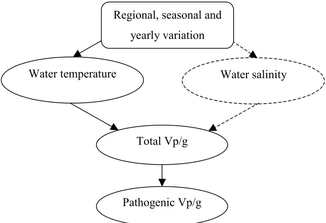 Figure 4-1.  Schematic depiction of the harvest module of the Vp model. 