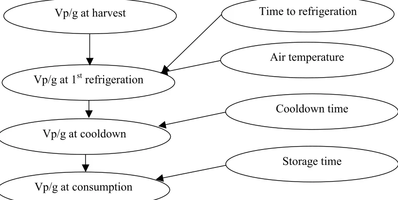 Figure 4-2.  Schematic depiction of the post-harvest module of the Vp model. 