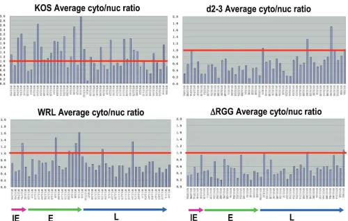 FIG 6 Viral mRNA export is less efﬁcient for many HSV-1 transcripts in WRL-A infection