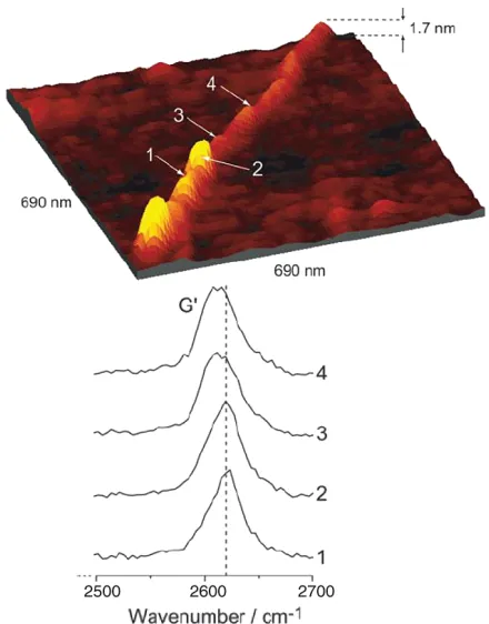 Figure 5. Experimental s-polarized SDR spectra, for light polarized along two orthogonal axes in the surface plane (adapted from [34]),compared with DFT-LDA calculations (adapted from [36]).