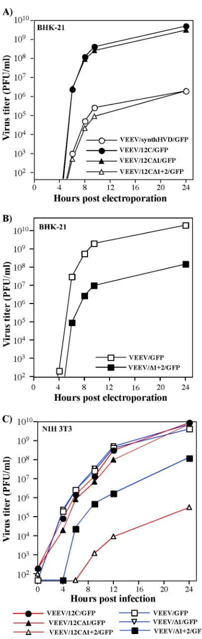 FIG 10 Deletion of one repeat element can be tolerated by the virus, but