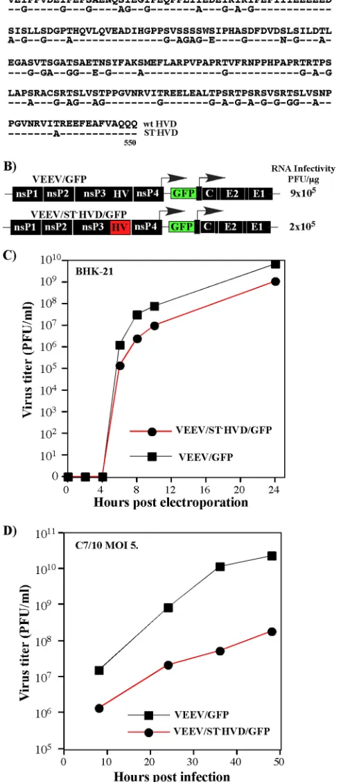 FIG 1 VEEV can tolerate mutations of all of the Ser and Thr residues in thein vitroVEEV/STSTHVD of nsP3