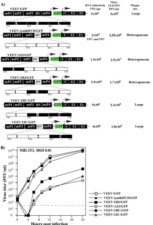 FIG 7 The carboxy-terminal fragment of the VEEV nsP3-speciﬁc HVD plays a critical role in VEEV replication in BHK-21 and NIH 3T3 cells
