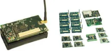 Figure 2.1: MicaZ and Wireless Sensor Network