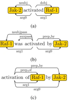 Figure 2: Sample EDGs with an active (a), passive(b), or normalized (c) verb.