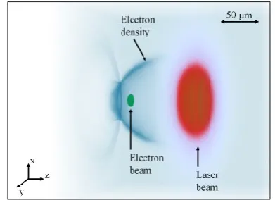 Figure 1. Preliminary simulation results for the transverse phase space of a possible PWFA drive beam (configuration 4) with an energy of 548 MeV, a peak beam current of 1 kA, transverse normalized emittances of 1 μrad m and an energy spread of below 0.07%