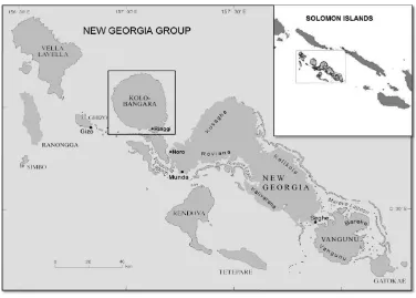 Figure 1.1. Kolombangara Island (delineated) is part of the New Georgia group and one of 