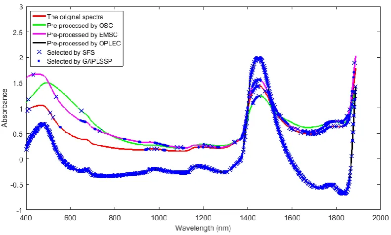 Figure 12. Pre-processing and wavelength selection for the 10th sugar sample 