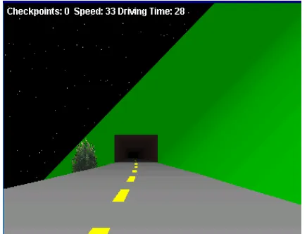 Figure 17. Screen Capture of 3D-Driver 