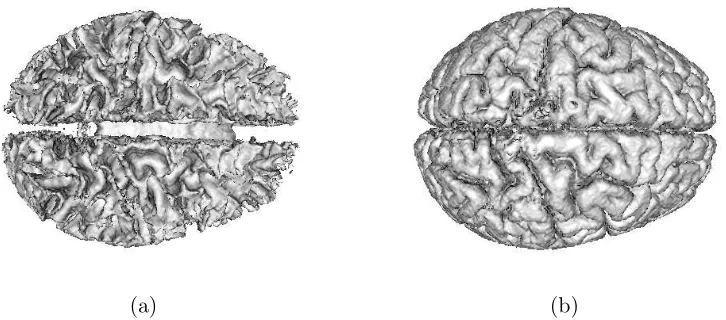 Figure 3.14: 3-D segmentation results of (a) WM and (b) GM for the testing simulatedbrain.