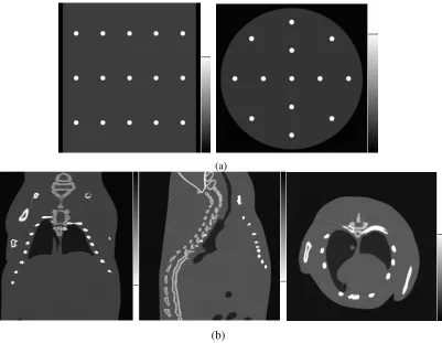 Figure 3.3. Illustrations of the phantoms used in the simulations. (a). The central axial (left) and transaxial (right) views from the multi-sphere phantom; (b)