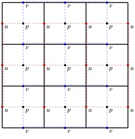 Figure 2.1 Marker and Cell grid