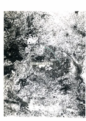 Figure 4.-- Vertical airplane photo ot Gem Mountain, Mesa Grande, showing location of tbe Himalaya lode