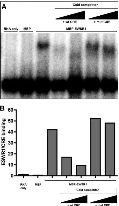 FIG 6 Puriﬁed recombinant EWSR1 directly and selectively binds the HCVCRE RNA in vitro