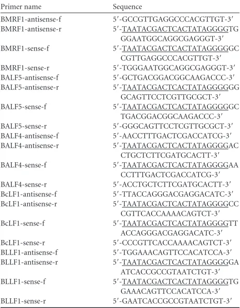 TABLE 1 Oligonucleotide primer sequence