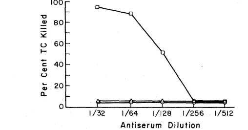 FIG. 3. Complement-mediated cytotoxicity of anti-AKR/ (0-0). WF rat TC by anti-8 serum