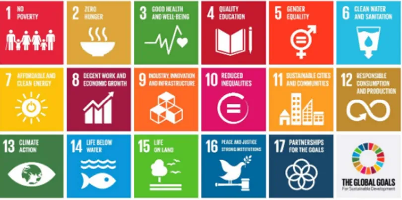 Figure 2.2 The 17 Sustainable Development Goals (World Bank, 2015)  