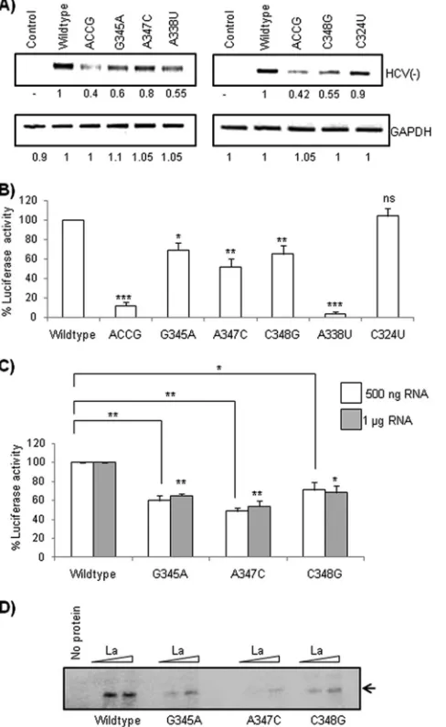 FIG 9 Effect of point mutations of the GCAC motif on HCV replication andactivities were plotted