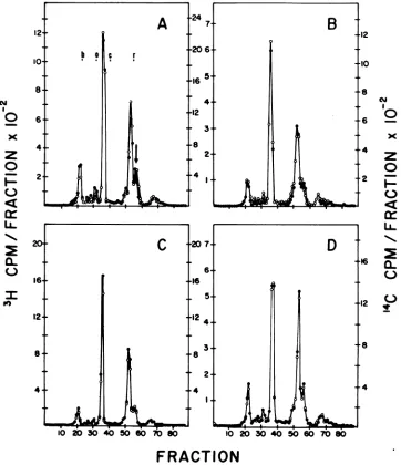 FIG.FRACTIONmarkers:(0),'H-labeled 6. SDS-PAGE analysis ofRFV and CFV. Symbols: (A) 3H-labeled RFV (0), '4C-labeled CFV (0): (B) CFV (0), 14C-labeled RFV (0); (C) 3H-labeled RFV (0), 14C-labeled RFV (0): (D) 3H-labeled CFV 4C-labeked CFV (0)