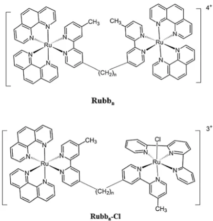 Fig. 1Structure of the Rubbn and Rubbn-Cl complexes (n = 7, 12 and 16).