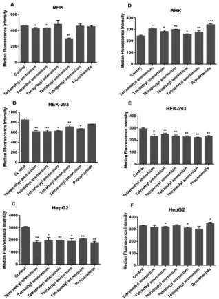 Fig. 5Eﬀect of OCT inhibition on Rubb12 (A–C) and Rubb7-Cl (D–F) uptake in BHK, HEK-293 and HepG2 cells after a 4-hour incubation.