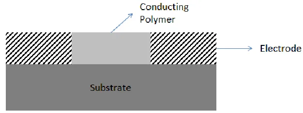 Fig. 2.3: Side view of conducting polymer sensor showing the employment of conducting 