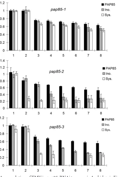 FIG 4 Accumulation of TMV in pap85-RNAi transgenic Arabidopsis. Eight T3plants (1 to 8) for each T1 plant (pap85-1, pap85-2, and pap85-3) were ran-domly selected for TMV inoculation