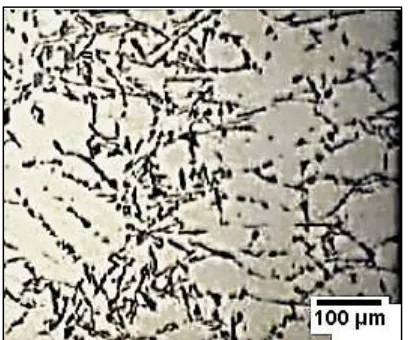 FIGURE 3. - Dendritic microstructure formed within billet 