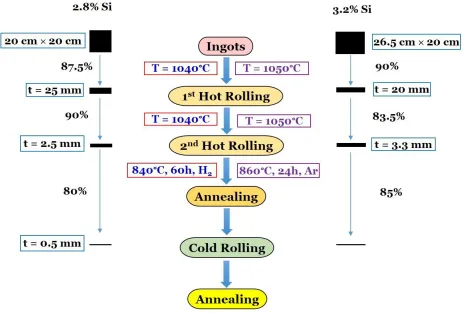 Fig. 3.1. Schematic illustration of the processing steps and parameters used for the two electrical 
