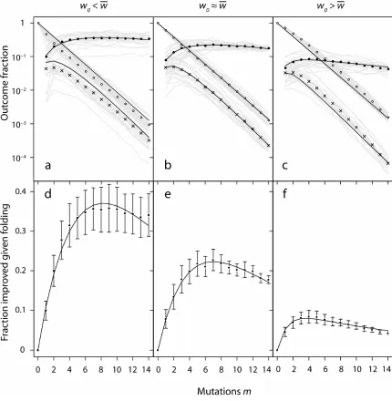 Figure 1.3: Simulation results for the probability of improving lattice protein stability by 