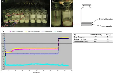 Fig. 1. Samples undergoing lyophilisation where: A) Samples are in process during a freeze drying cycle