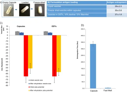 Fig. 5. Vesicles containing antigen formatted as liquids, a freeze-dried tablet and ODTs where A) shows the various formulations B) shows antigen incorporation, C), outlines the vesiclecharacteristics and D) the disintegration time (n = 5).