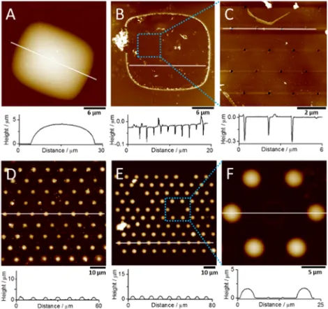 Figure 2 shows the SEM images of the two array designsbefore and after modiﬁcation with silica