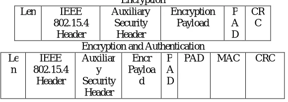 Figure 3.Data Packet formats  