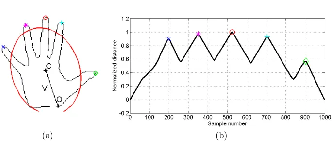 Fig. 2. Contour distance feature extraction from hand contour showing (a) the methodfor extraction of prevalent point Q on the wrist using a ﬁtted ellipse, centroid C anda ray V and (b) the corresponding contour distance features.