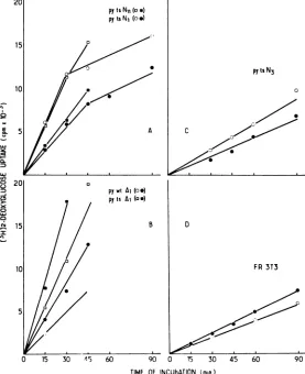 Fig. 3, the initial rates of hexose uptake weredecreased by about 50% in tsa-N polyoma trans-