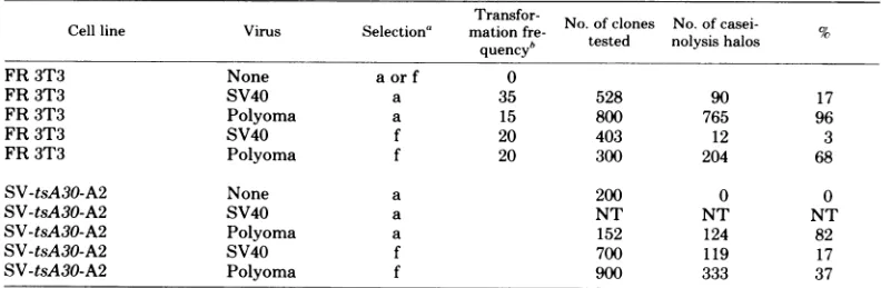TABLE 5. Frequency of PA-producing transformants after polyoma virus and SV40 infections of normal ratcells (FR 3T3) and nonproducing SV40-transformed cells