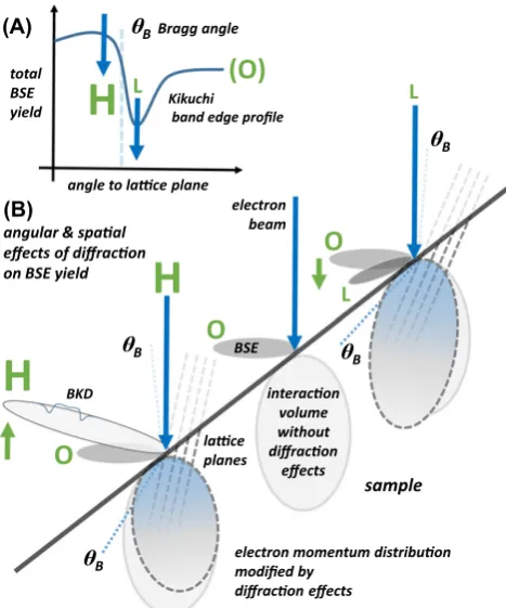 Fig. 5. Schematic representation of the influence of diffraction effects onthe angular distribution of backscattered electrons