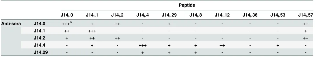 Table 4. Relative cross-recognition between peptide specific antisera and J14i-variant peptides.