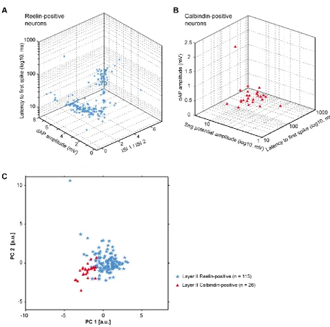 Figure S2. Absence of further categorization among reelin- and calbindin-expressing principal neurons in layer II of the MEC, Related to Figure 1