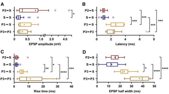 Figure 3. Properties of Excitatory Synaptic