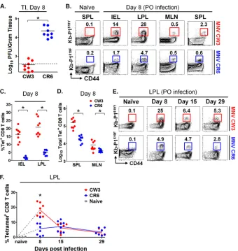 FIG 5 Robust epitope P1the appropriate strain were used in these experiments. In the experiment whose results are shown in panel A, naive cells were from the spleen; in the experimentwhose results are shown in panel E, naive cells were from the LP
