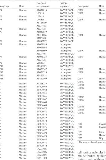 TABLE 1 Epitope P1519 is highly conserved among all NV genogroupsa