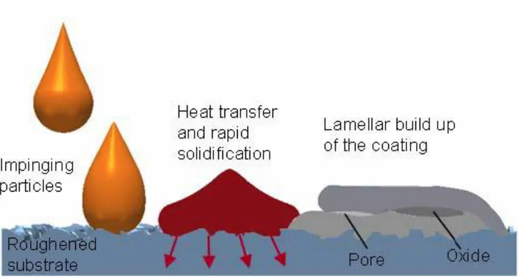 Figure 2.27 Formation of a thermally sprayed coating [104].