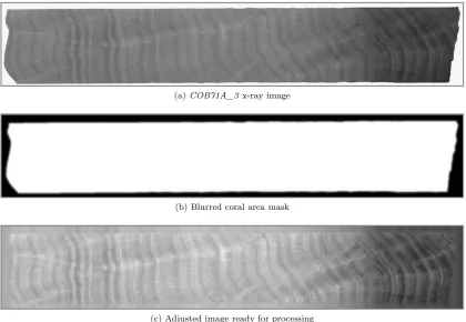 Figure 4.17: Original coral x-ray image (a), the smoothed mask (b) and the background ﬁlledimage to reduce edge eﬀects (c) which will be used for processing.