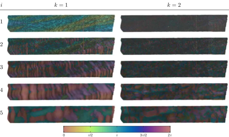 Figure 4.19: Histogram of orientation for the polyp tube and growth rings classes.
