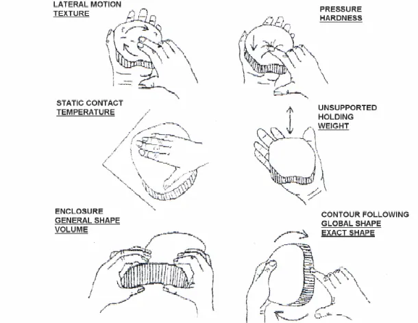 Figure 2.2. A depiction of the exploratory procedures (EP) as described by Lederman & 